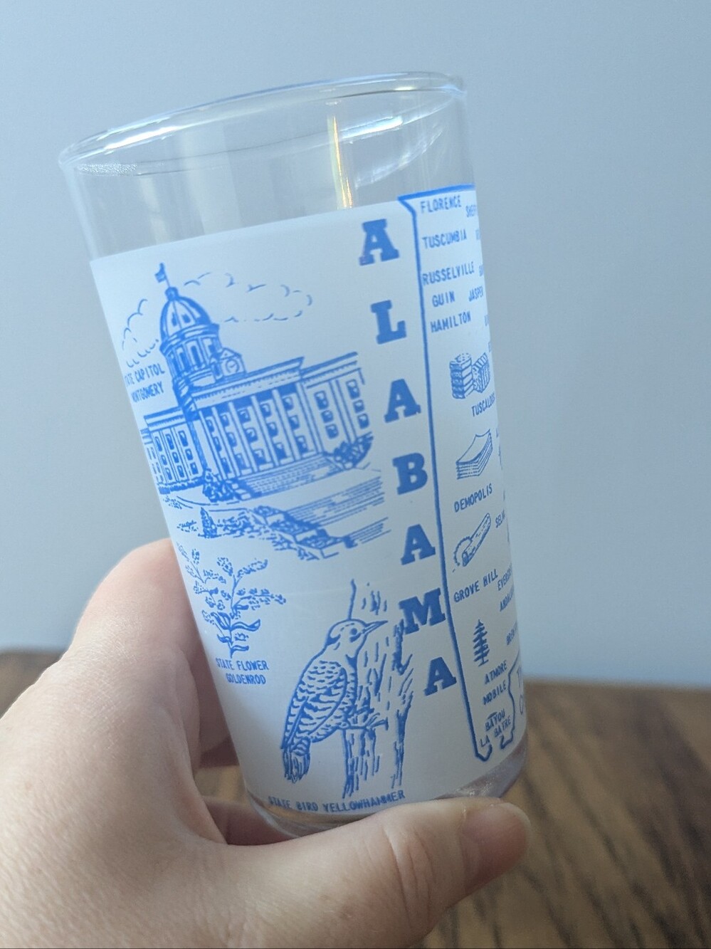 Vintage Alabama Frosted Souvenir Glass - Cotton State - 5" Blue